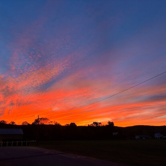 Meet your Posher, Anna - Picture 1 of 1